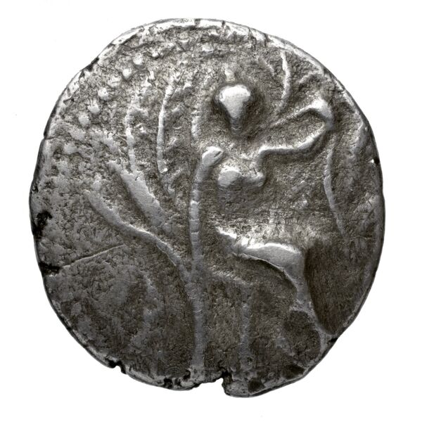 Gortyn Carbone 2016 59-103, 113-117, аверс, bnf-iris