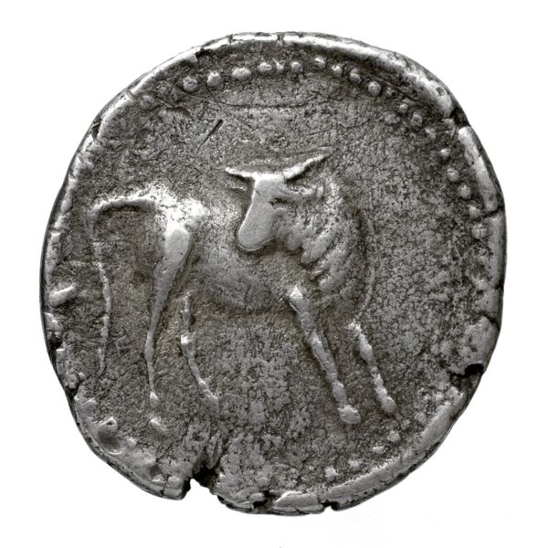 Gortyn Carbone 2016 59-103, 113-117, реверс, bnf-iris