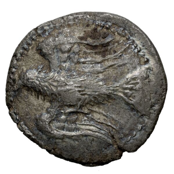 Lyttus Svoronos 1890 (1972) 1-50, 55-64, аверс, bnf-iris