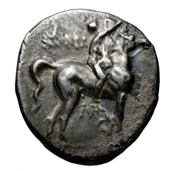 Taras Historia Numorum Italy 997-8, аверс, bnf-iris