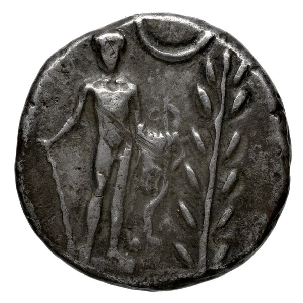 Phaestus Carbone 2016 11-28, 32, 44-49, 54-56, 66-95, аверс, bnf-iris