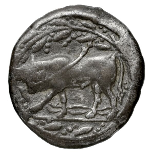 Phaestus Carbone 2016 11-28, 32, 44-49, 54-56, 66-95, реверс, bnf-iris