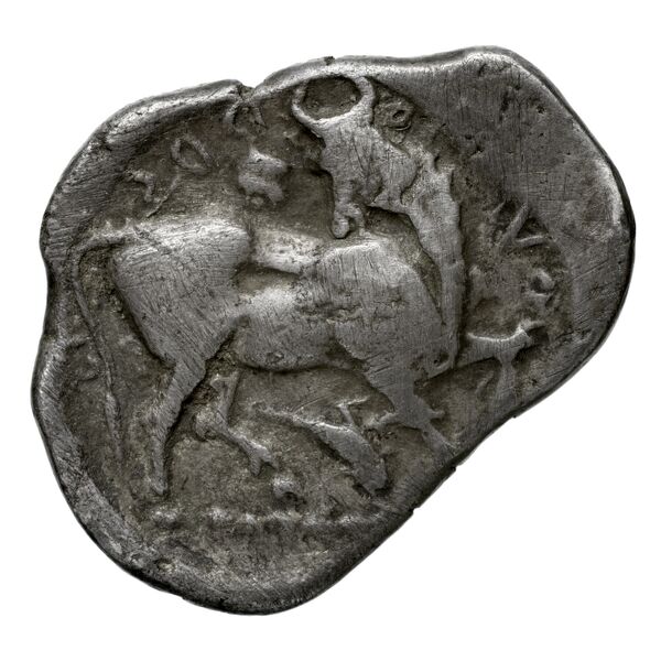 Gortyn Carbone 2016 59-103, 113-117, реверс, bnf-iris