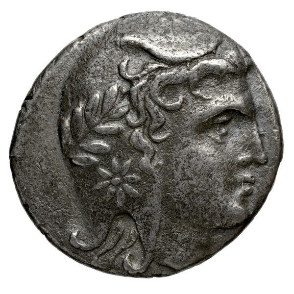 Amastris Callataÿ 2004 Group 2, аверс, bnf-iris
