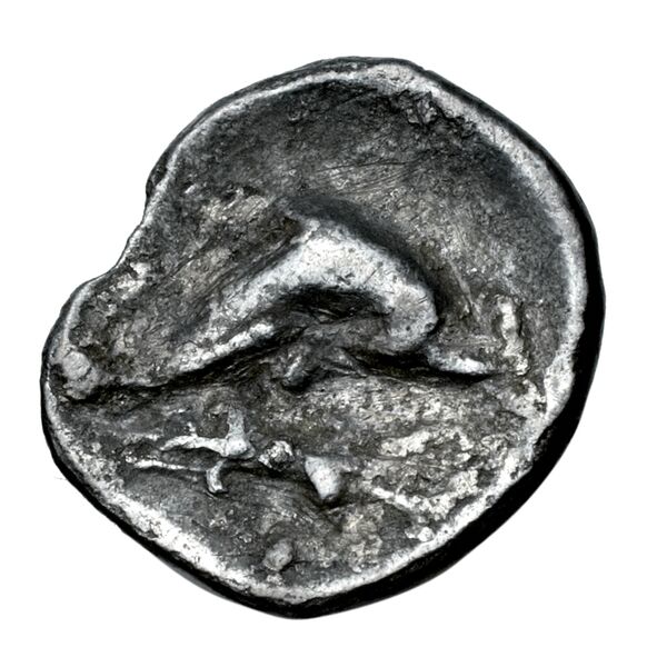 Taras Historia Numorum Italy 979, реверс, bnf-iris