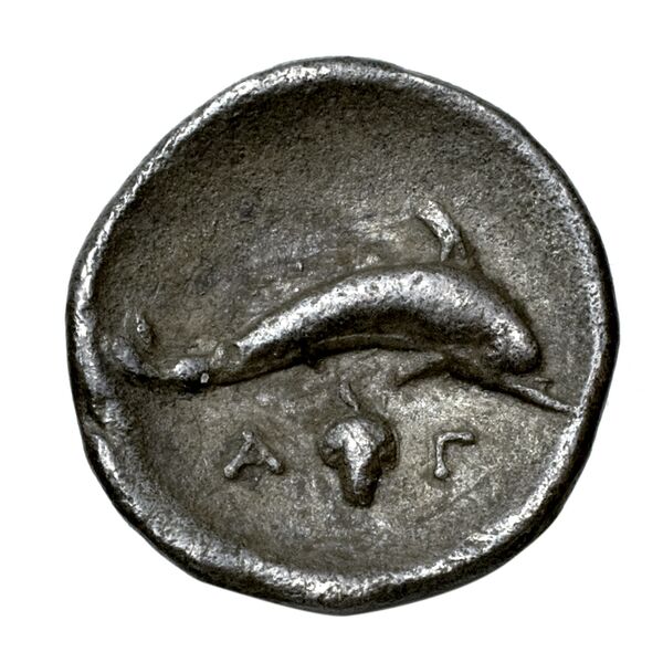 Taras Historia Numorum Italy 979, реверс, bnf-iris