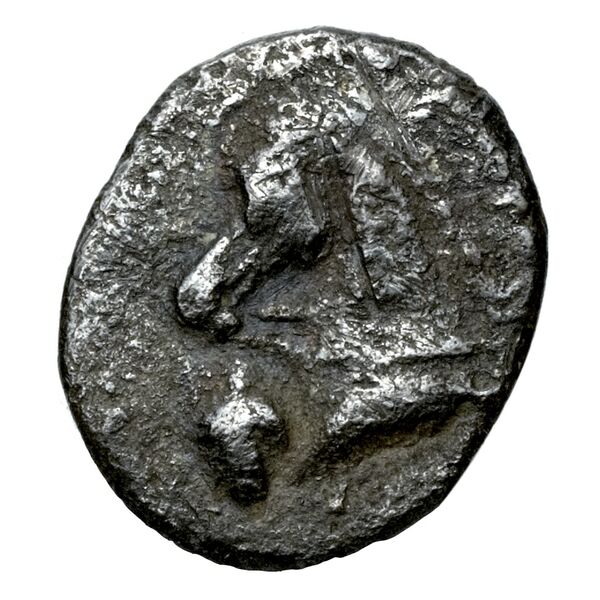 Taras Historia Numorum Italy 981, аверс, bnf-iris