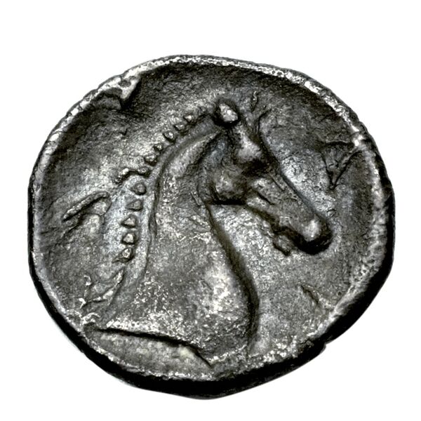 Taras Historia Numorum Italy 981, реверс, bnf-iris