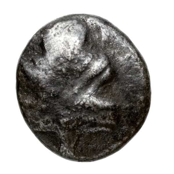 Camirus BMC Camirus 2-11, obverse, bnf-iris