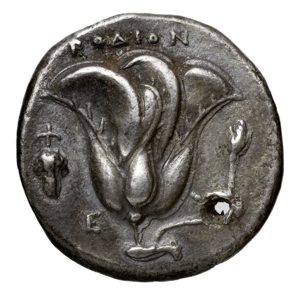 Rhodes Ashton 2001 95-9, реверс, bnf-iris