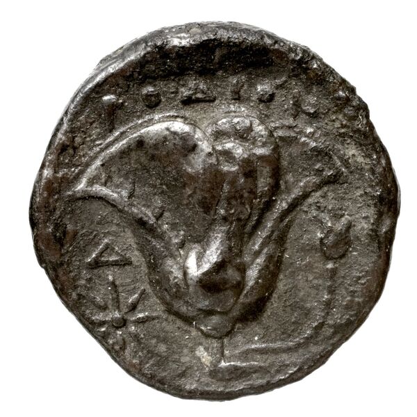 Rhodes Ashton 2001 170, реверс, bnf-iris