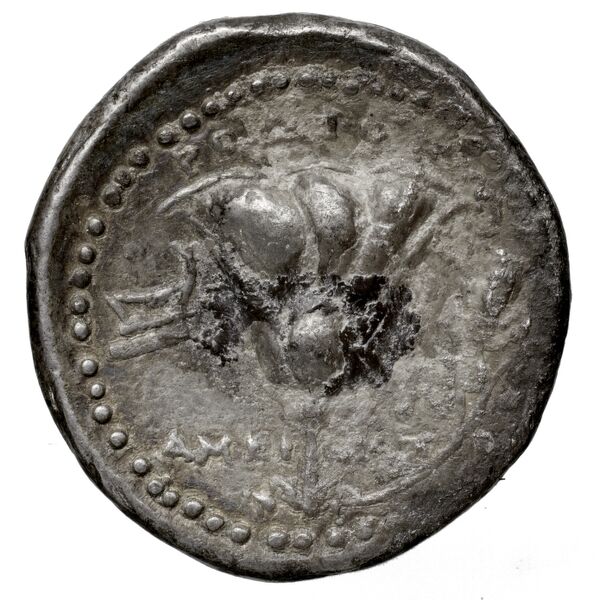 Rhodes Ashton 2001 212-6, реверс, bnf-iris