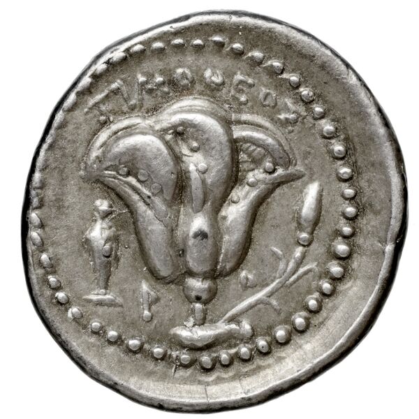 Rhodes Ashton 2001 206-9, реверс, bnf-iris