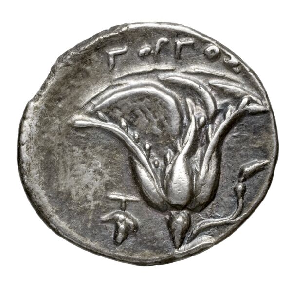 Rhodes Ashton 2001 303-11, реверс, bnf-iris