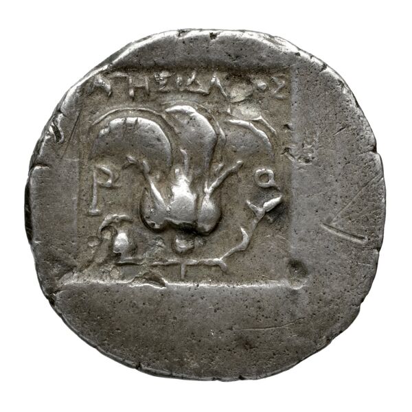 Rhodes Jenkins 1989 Group A, реверс, bnf-iris