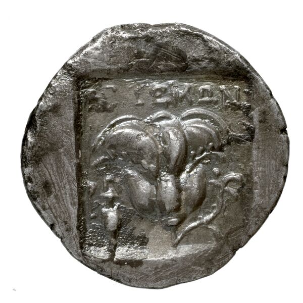 Rhodes Jenkins 1989 Group A, реверс, bnf-iris