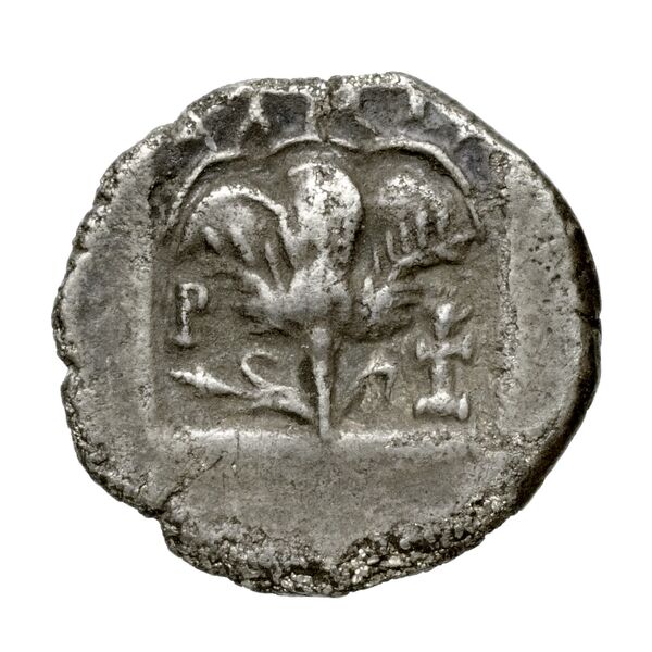 Rhodes Jenkins 1989 Group D hemidrachms, реверс, bnf-iris
