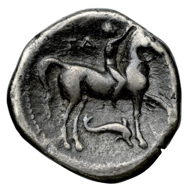 Uxentum Historia Numorum Italy 1098, реверс, bnf-iris