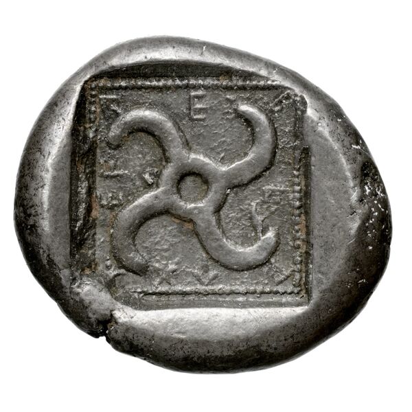 Sppntaza Phellus Hoff 2017 M250-1, reverse, bnf-iris