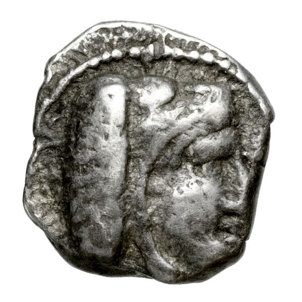Baalmelek I of Citium Citium BMC Citium 8-9, аверс, bnf-iris
