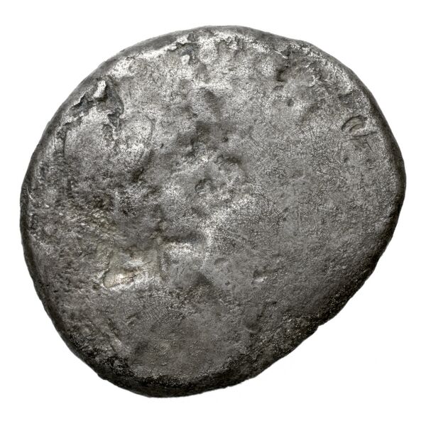 Lapethus BMC Lapethus 2-6, аверс, bnf-iris
