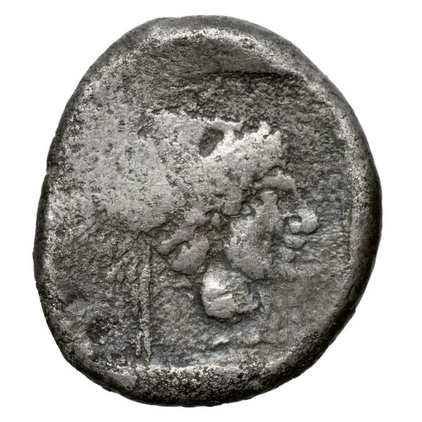 Lapethus BMC Lapethus 2-6, реверс, bnf-iris