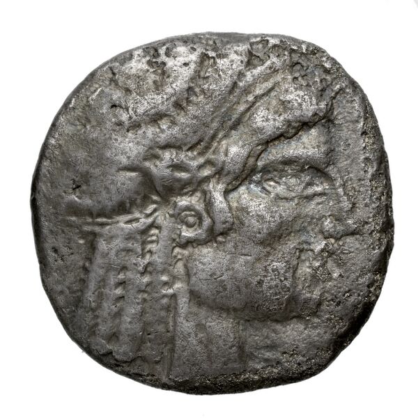 Lapethus BMC Lapethus 2-6, аверс, bnf-iris