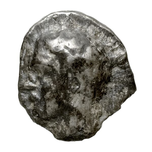 Euagoras I Salamis BMC Salamis 45-48, obverse, bnf-iris