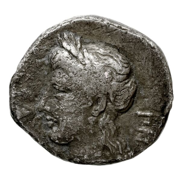 Pnytagoras of Salamis Salamis BMC Salamis 77-78, 80-84, аверс, bnf-iris
