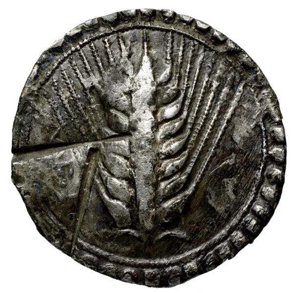 аверс Metapontum Historia Numorum Italy 1459