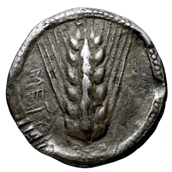 Metapontum Historia Numorum Italy 1459, аверс, bnf-iris
