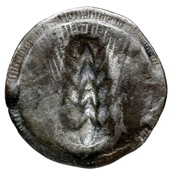 Metapontum Historia Numorum Italy 1459, реверс, bnf-iris