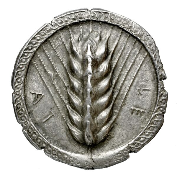 Metapontum Historia Numorum Italy 1459, аверс, bnf-iris