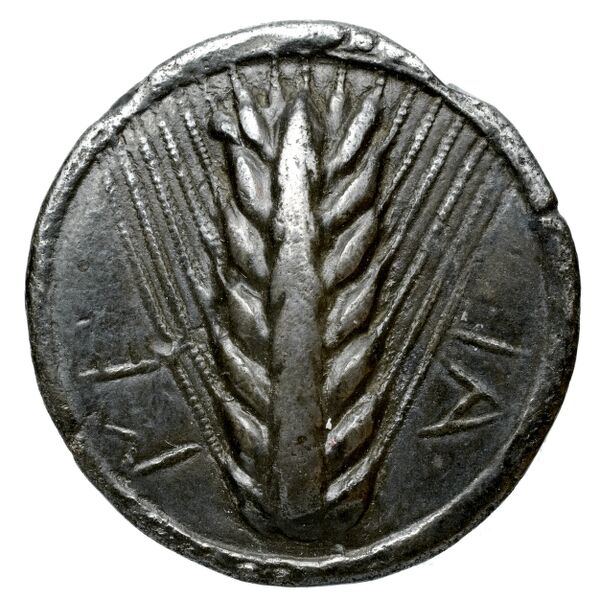 Metapontum Historia Numorum Italy 1459, аверс, bnf-iris