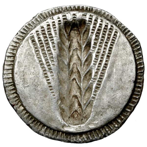 Metapontum Historia Numorum Italy 1459, реверс, bnf-iris