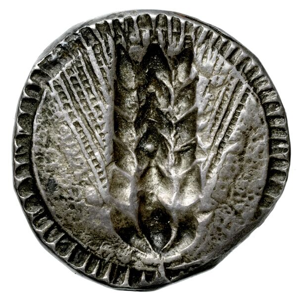 Metapontum Historia Numorum Italy 1482-3, реверс, bnf-iris