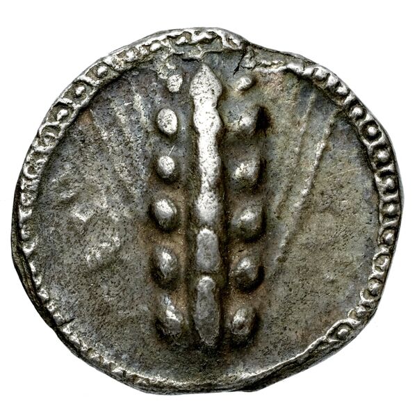 Metapontum Historia Numorum Italy 1482-3, аверс, bnf-iris
