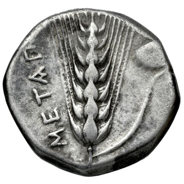 Metapontum Historia Numorum Italy 1535-51, реверс, bnf-iris