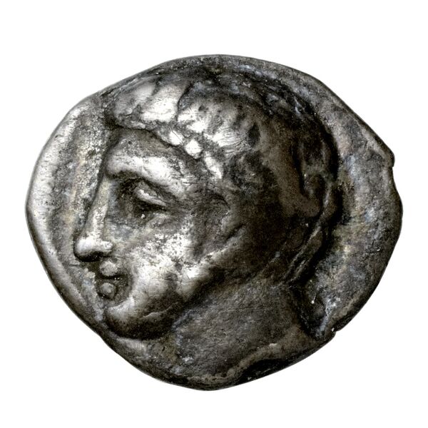 Metapontum Historia Numorum Italy 1601, аверс, bnf-iris