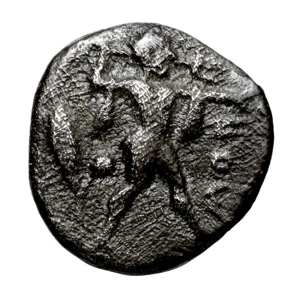Poseidonia Historia Numorum Italy 1119, аверс, bnf-iris