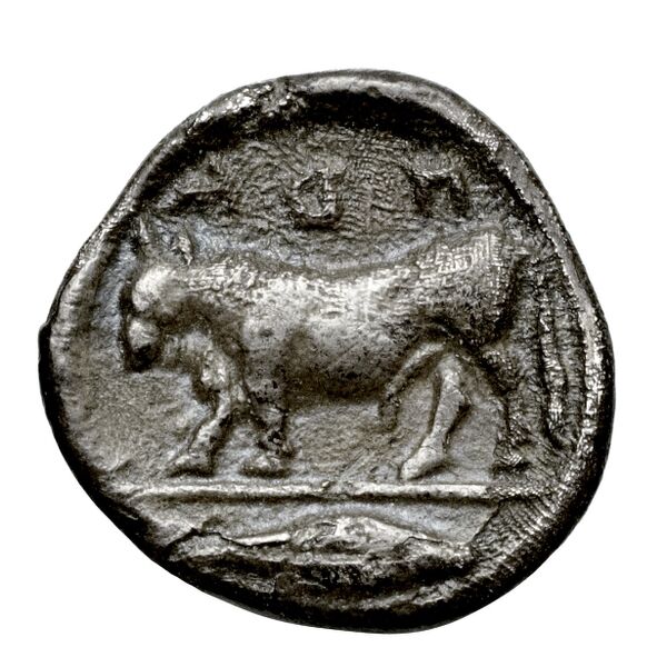 Poseidonia Historia Numorum Italy 1119, реверс, bnf-iris