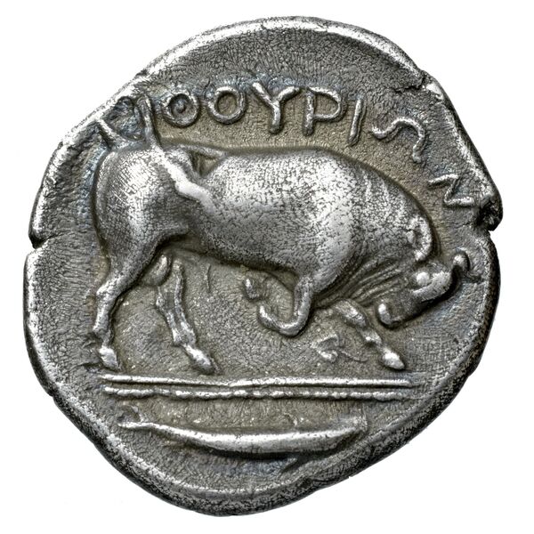 Thurium Historia Numorum Italy 1784-1795, реверс, bnf-iris