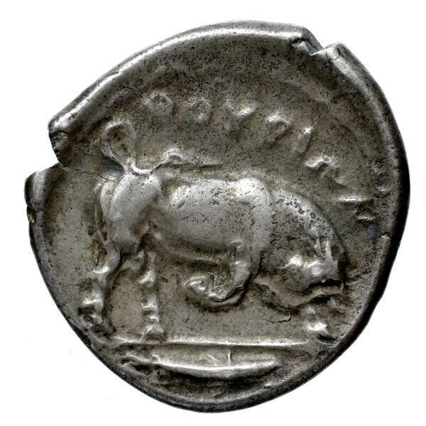 Thurium Historia Numorum Italy 1799-1802, реверс, bnf-iris