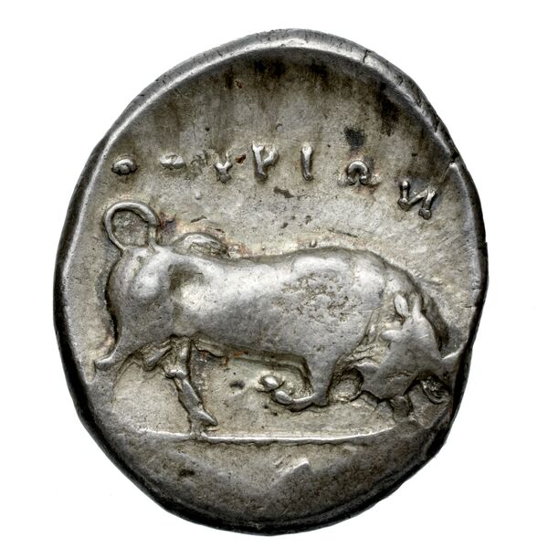 Thurium Historia Numorum Italy 1799-1802, реверс, bnf-iris