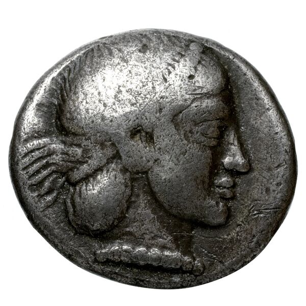 Velia Historia Numorum Italy 1265, аверс, bnf-iris