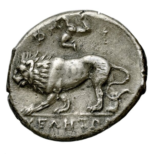 Velia Historia Numorum Italy 1299-1312, реверс, bnf-iris