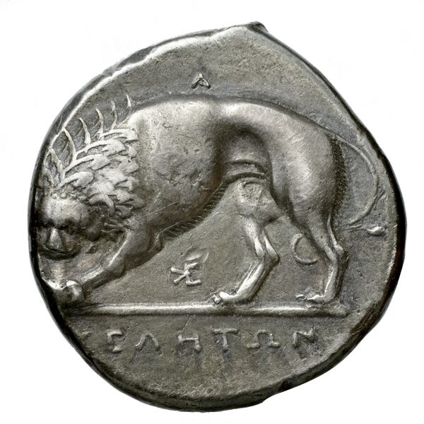 Velia Historia Numorum Italy 1289-94, 1296-98, реверс, bnf-iris