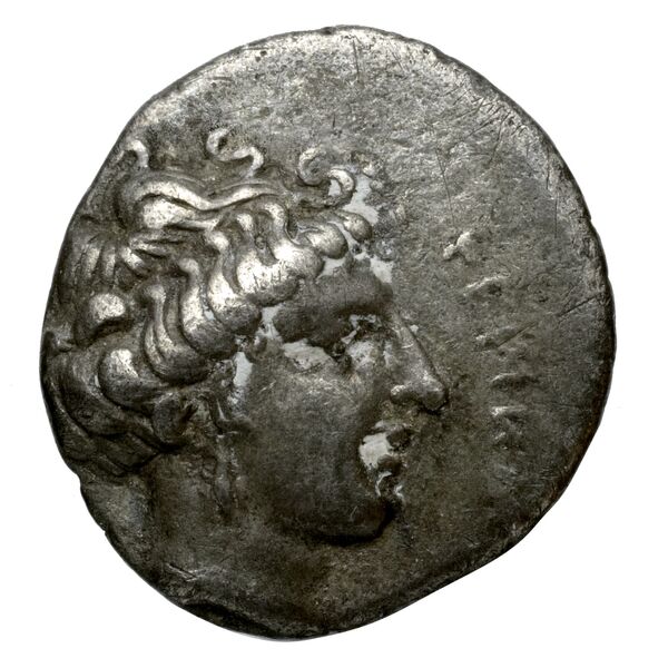 Terina Historia Numorum Italy 2641-2642, аверс, bnf-iris