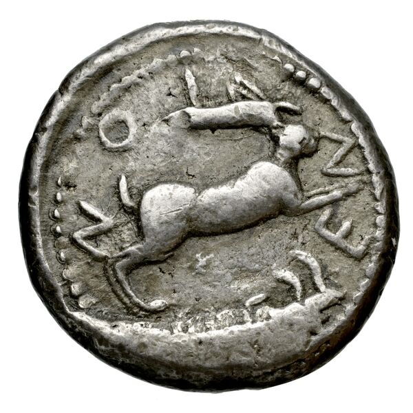Messana Caltabiano 1993 27-226, реверс, bnf-iris