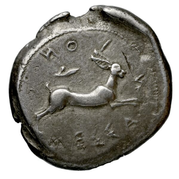 Messana Caltabiano 1993 358-388, реверс, bnf-iris
